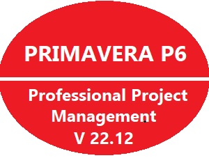 Primavera P6 Professional Project Management 22.12