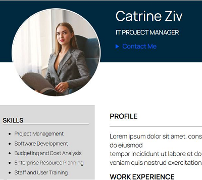 Modern CV Layout