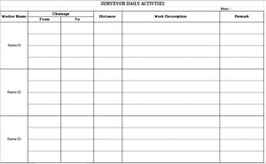 Surveyor Daily Activities